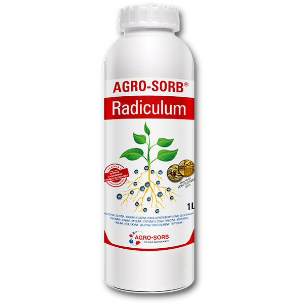 RADICULUM 1L